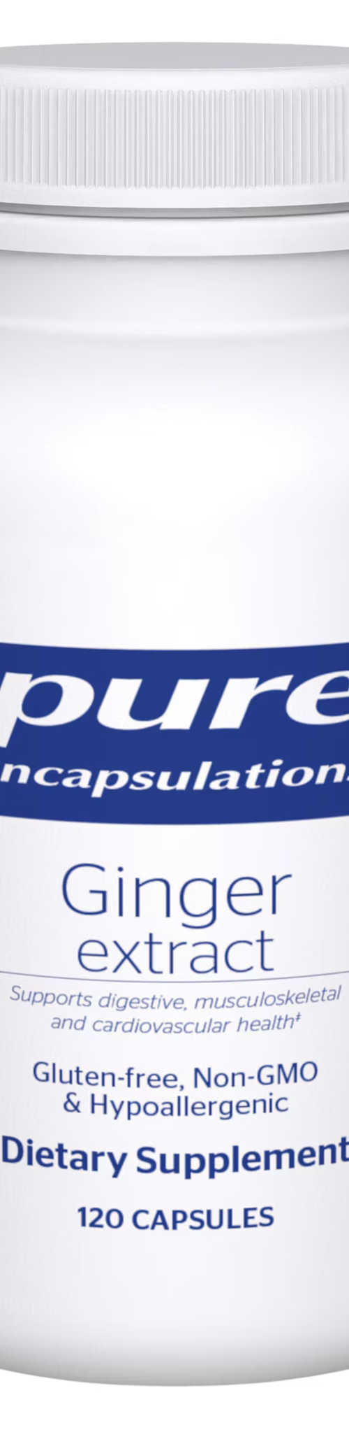 Ginger Extract - Superpower Marketplace