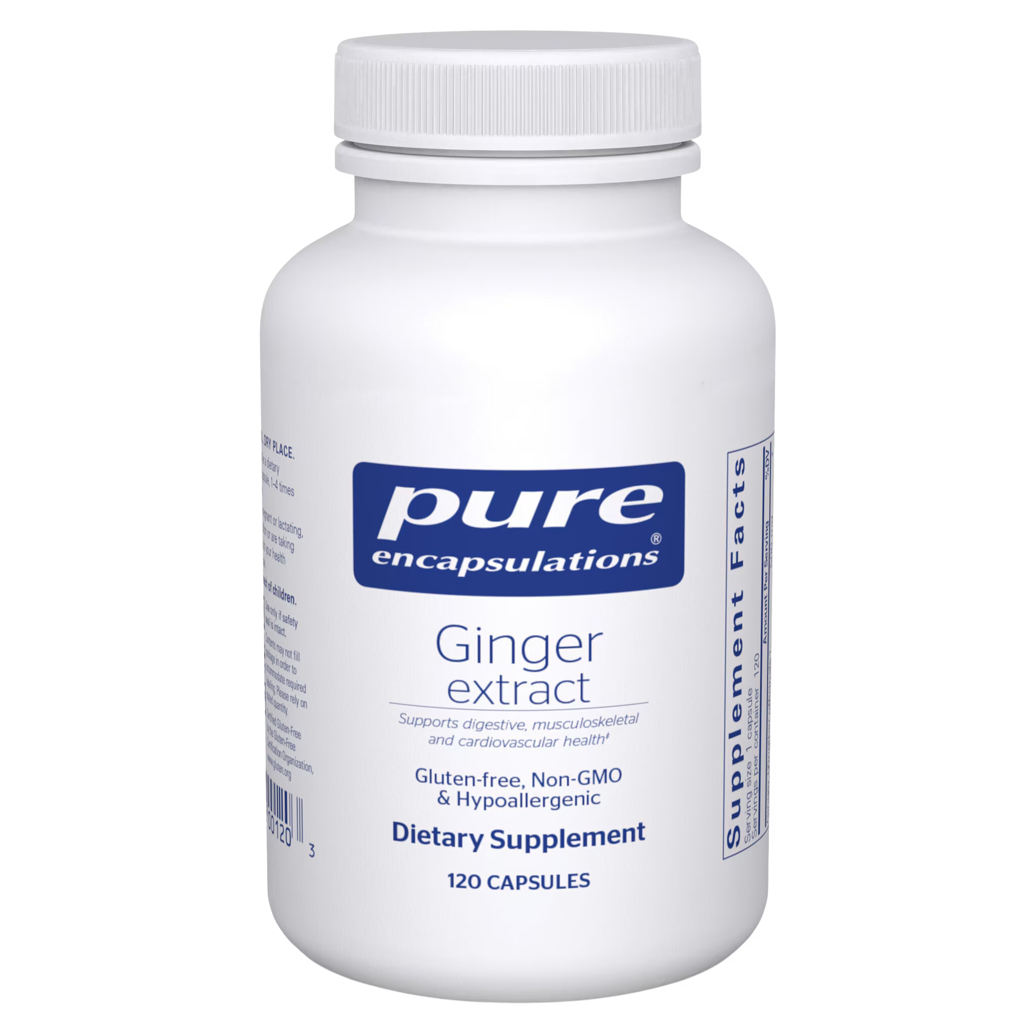 Ginger Extract - Superpower Marketplace