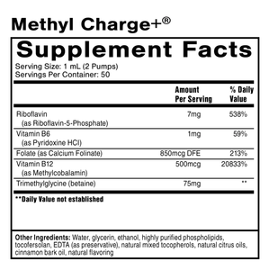 Methyl Charge - Superpower Marketplace